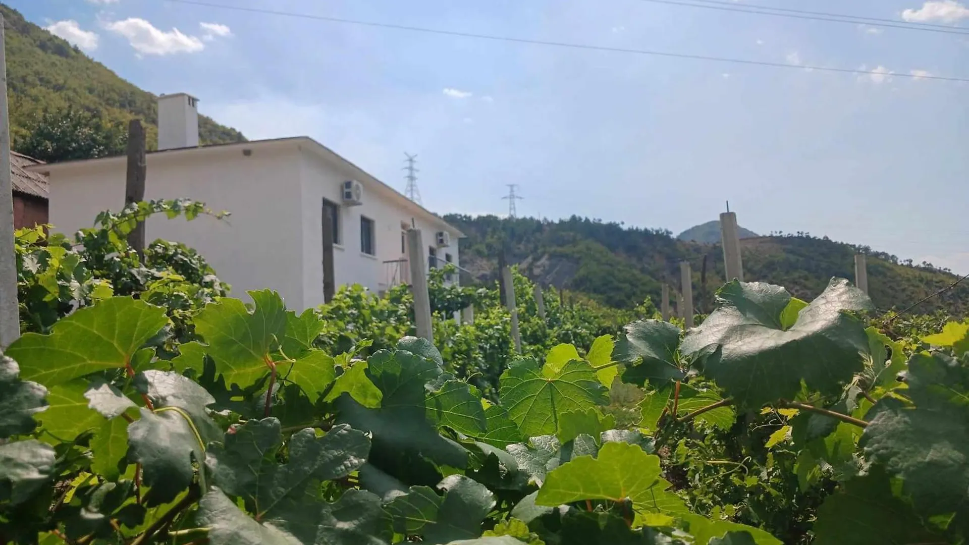 Bujtina Dalmacia Hotel Koman Albania