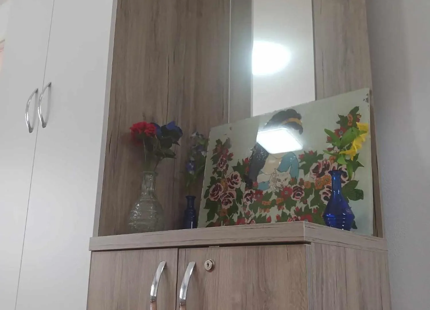 Hotel Bujtina Dalmacia à Koman Albanie