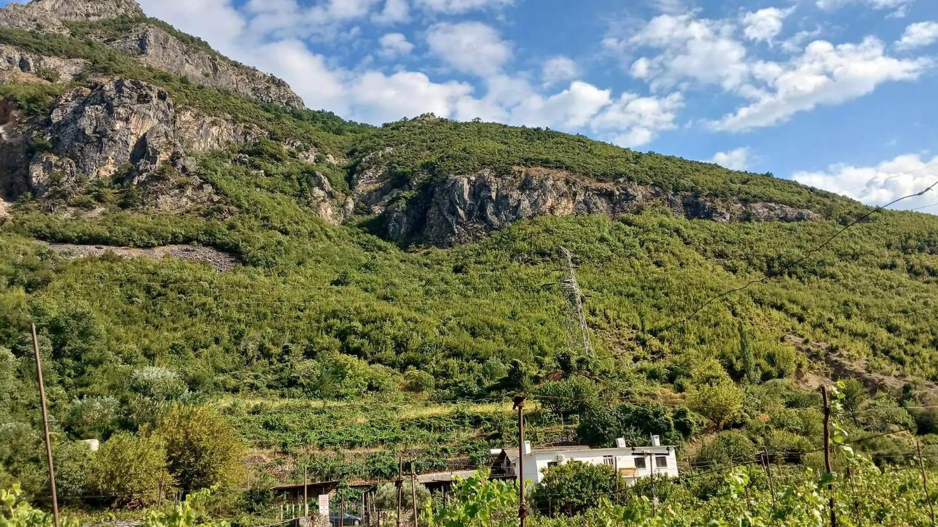 Bujtina Dalmacia Hotel Koman 0*,
