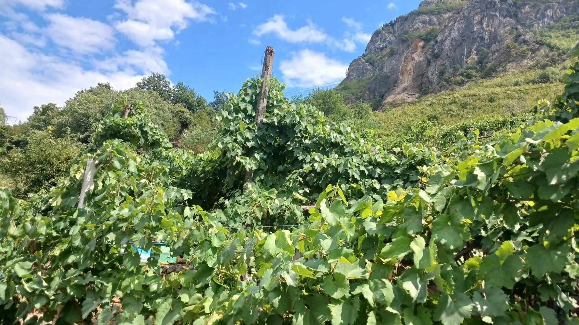 Hotel Bujtina Dalmacia à Koman Maison d'hôtes