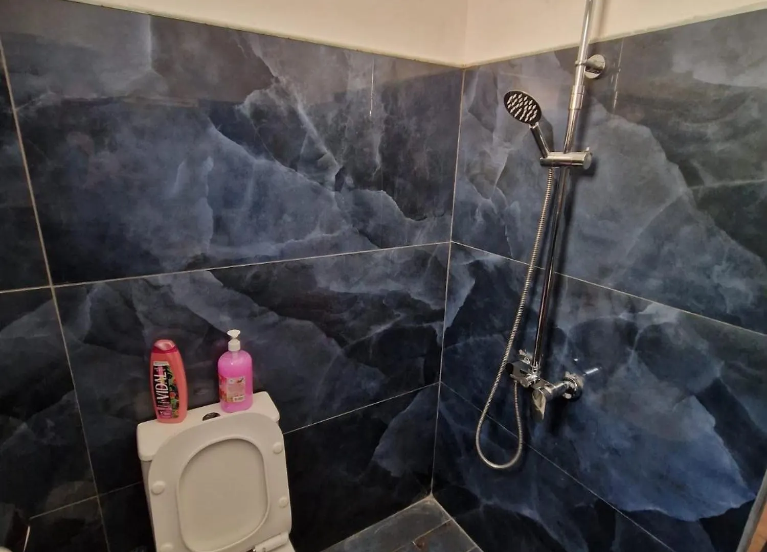Hotel Bujtina Dalmacia à Koman 0*,