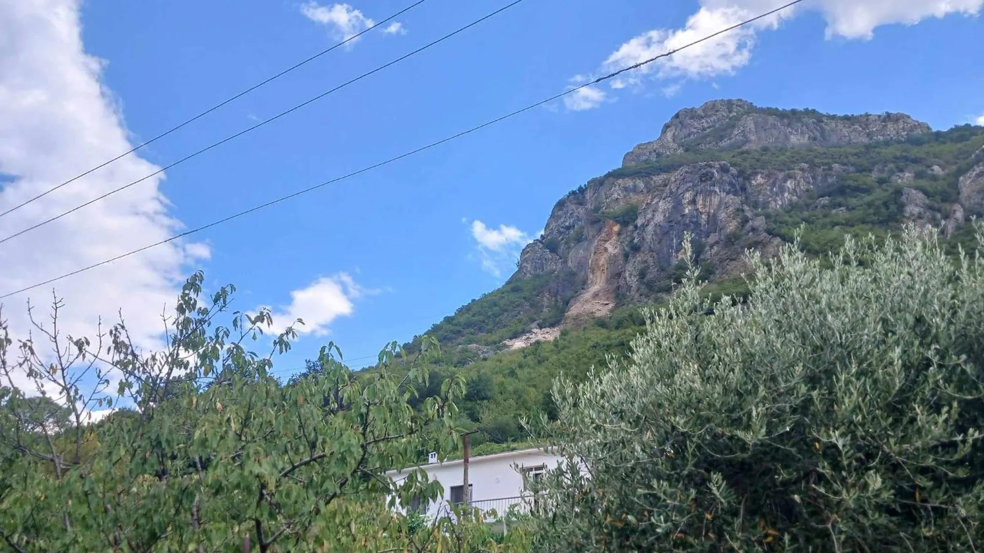 Guest house Bujtina Dalmacia Hotel Koman